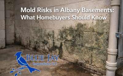 Mold Risks in Albany Basements: What Homebuyers Should Know