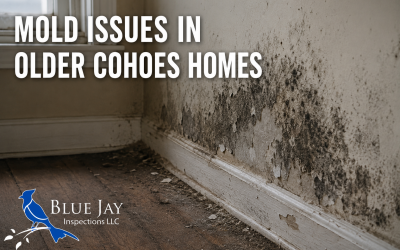 Mold Issues in Older Cohoes Homes